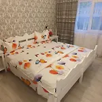 Casa Sebastian ゲストハウス コスティネシュティ